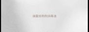 滴露给狗狗消毒液
