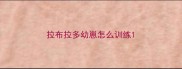 拉布拉多幼崽怎么训练