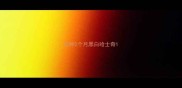 纯种2个月黑白哈士奇