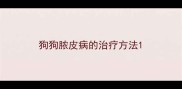狗狗脓皮病的治疗方法