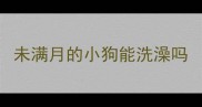 未满月的小狗能洗澡吗