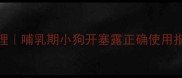 幼犬便秘紧急处理哺乳期小狗开塞露正确使用指南附护理要点