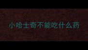 小哈士奇不能吃什么药