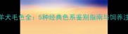 边境牧羊犬毛色全5种经典色系鉴别指南与饲养注意事项