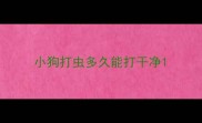 小狗打虫多久能打干净