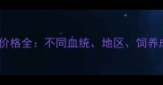 拉布拉多寻回犬价格全不同血统地区饲养成本及选购指南