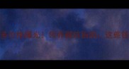 拉布拉多价格曝光领养避坑指南这些钱别乱花