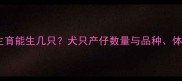 母犬初次生育能生几只犬只产仔数量与品种体质的关联