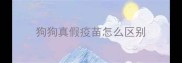 狗狗真假疫苗怎么区别