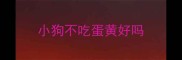 小狗不吃蛋黄好吗