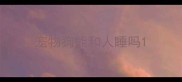 宠物狗能和人睡吗