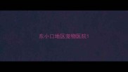 东小口地区宠物医院