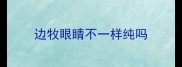 边牧眼睛不一样纯吗