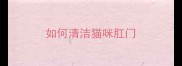 如何清洁猫咪肛门