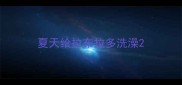 夏天给拉布拉多洗澡