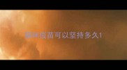 猫咪疫苗可以坚持多久