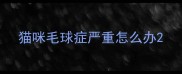 猫咪毛球症严重怎么办