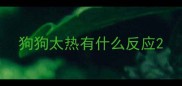 狗狗太热有什么反应