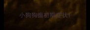 小狗狗瘟初期症状