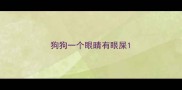 狗狗一个眼睛有眼屎