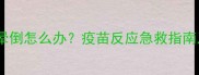 狗狗打疫苗后晕倒怎么办疫苗反应急救指南及预防措施全