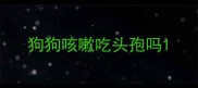 狗狗咳嗽吃头孢吗