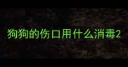 狗狗的伤口用什么消毒