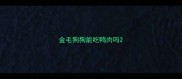 金毛狗狗能吃鸭肉吗
