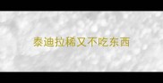泰迪拉稀又不吃东西