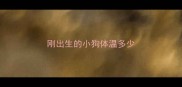 刚出生的小狗体温多少