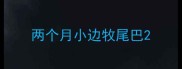 两个月小边牧尾巴