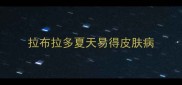 拉布拉多夏天易得皮肤病