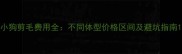 小狗剪毛费用全不同体型价格区间及避坑指南