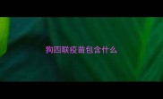 狗四联疫苗包含什么
