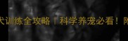三个月泰迪幼犬训练全攻略科学养宠必看附90天成长计划表