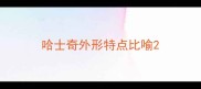 哈士奇外形特点比喻