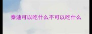 泰迪可以吃什么不可以吃什么