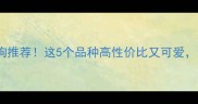 1000元预算买狗狗推荐这5个品种高性价比又可爱附选购避坑指南