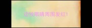 边牧眼睛周围发红