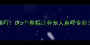 小狗能吃芝士蛋糕吗这5个真相让养宠人直呼专业附安全喂食指南