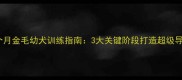 两三个月金毛幼犬训练指南3大关键阶段打造超级导盲犬