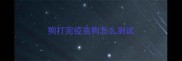 狗打完疫苗狗怎么测试