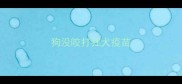 狗没咬打狂犬疫苗