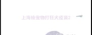 上海给宠物打狂犬疫苗