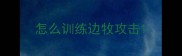 怎么训练边牧攻击