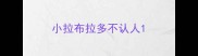 小拉布拉多不认人