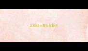 比格哈士奇拉布拉多