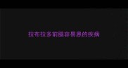 拉布拉多前腿容易患的疾病