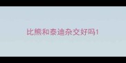 比熊和泰迪杂交好吗
