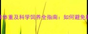 雪纳瑞10个月标准体重及科学饲养全指南如何避免肥胖与营养不良